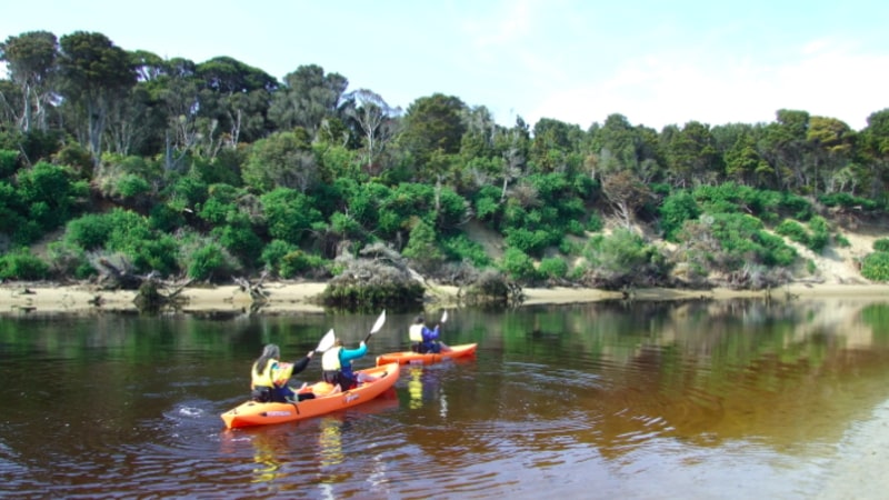 Discover a little slice of untouched paradise as you kayak down the hidden waterways of Papatowai...